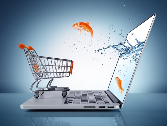 Insurance Software insurance-software
