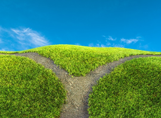 Insurance Technology Options: Single Vendor or Best in Breed insurance-technology