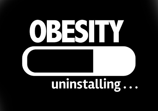 Is Data Obesity Eating Your Insurance Technology Budget? insurance-technology