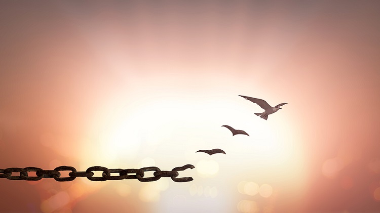 Navigating the Constraints of Direct-to-Consumer Insurance direct-to-consumer-insurance
